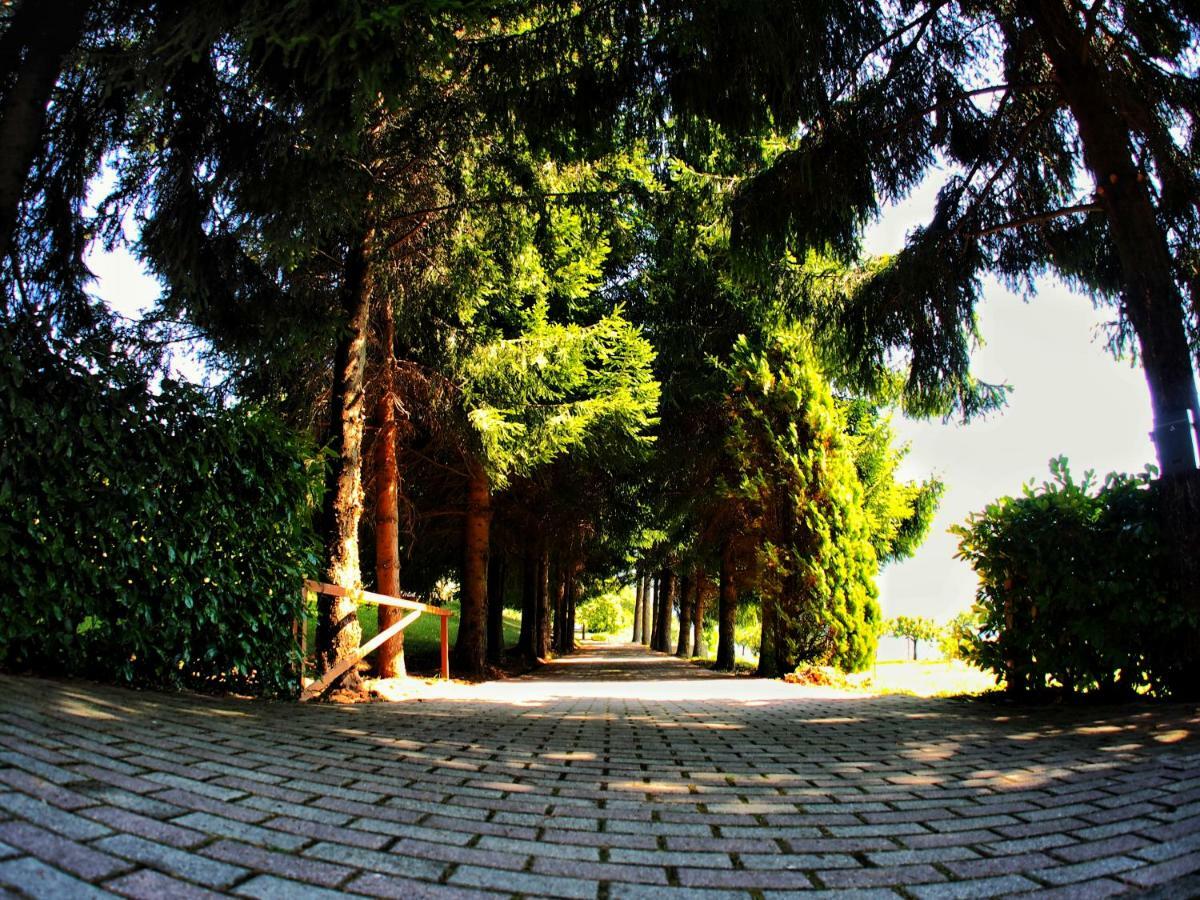 Casa Vacanza Pratolungo Villa Zogno ภายนอก รูปภาพ